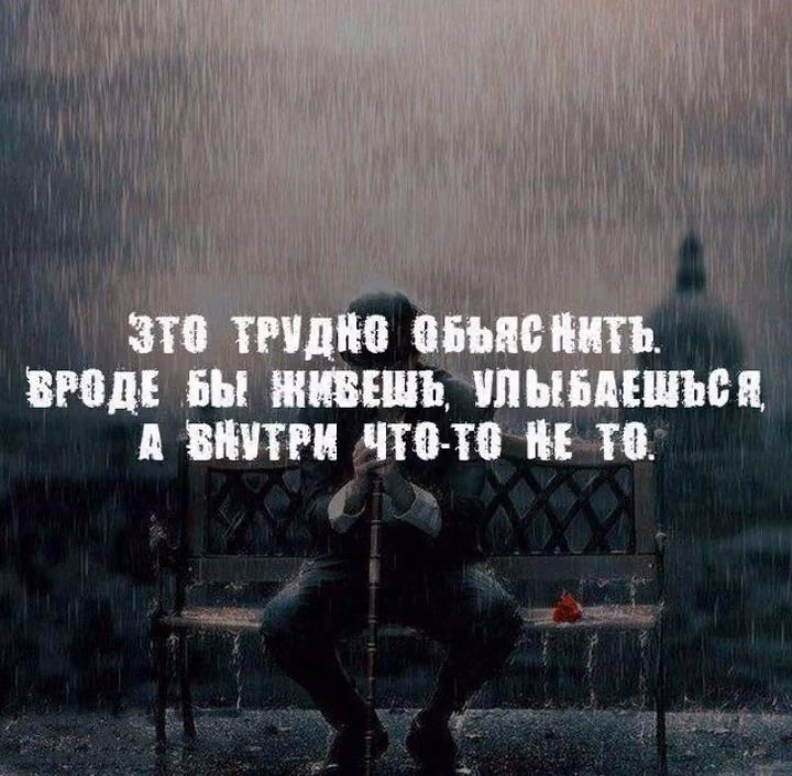 07afdadf376378e63c04d4b5496dac81.avif