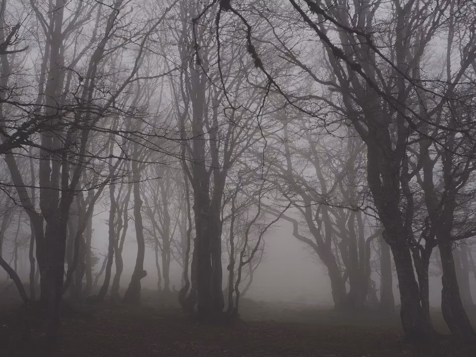 07b898e77ae3768f05f2ff54d4006c2a.jpg