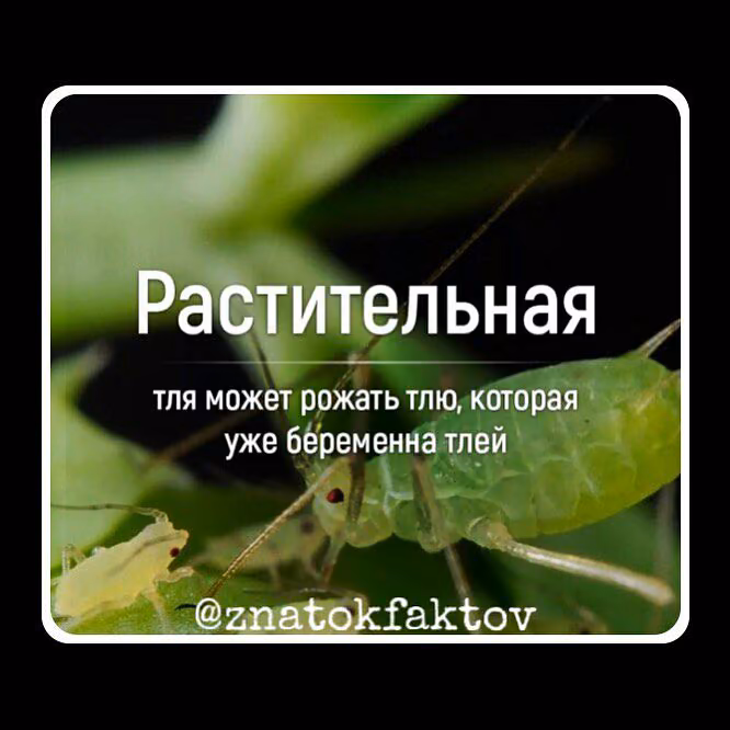 07ec97257c919026542cd875bcf62864.jpg
