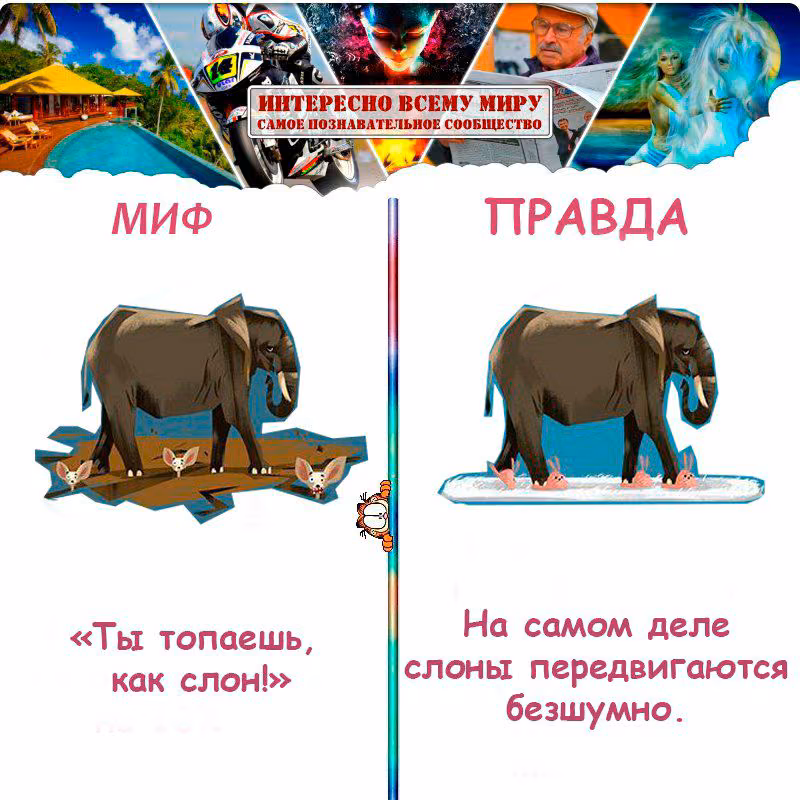 0804b2f85e16c8ea8360dfc3552d797c.jpg