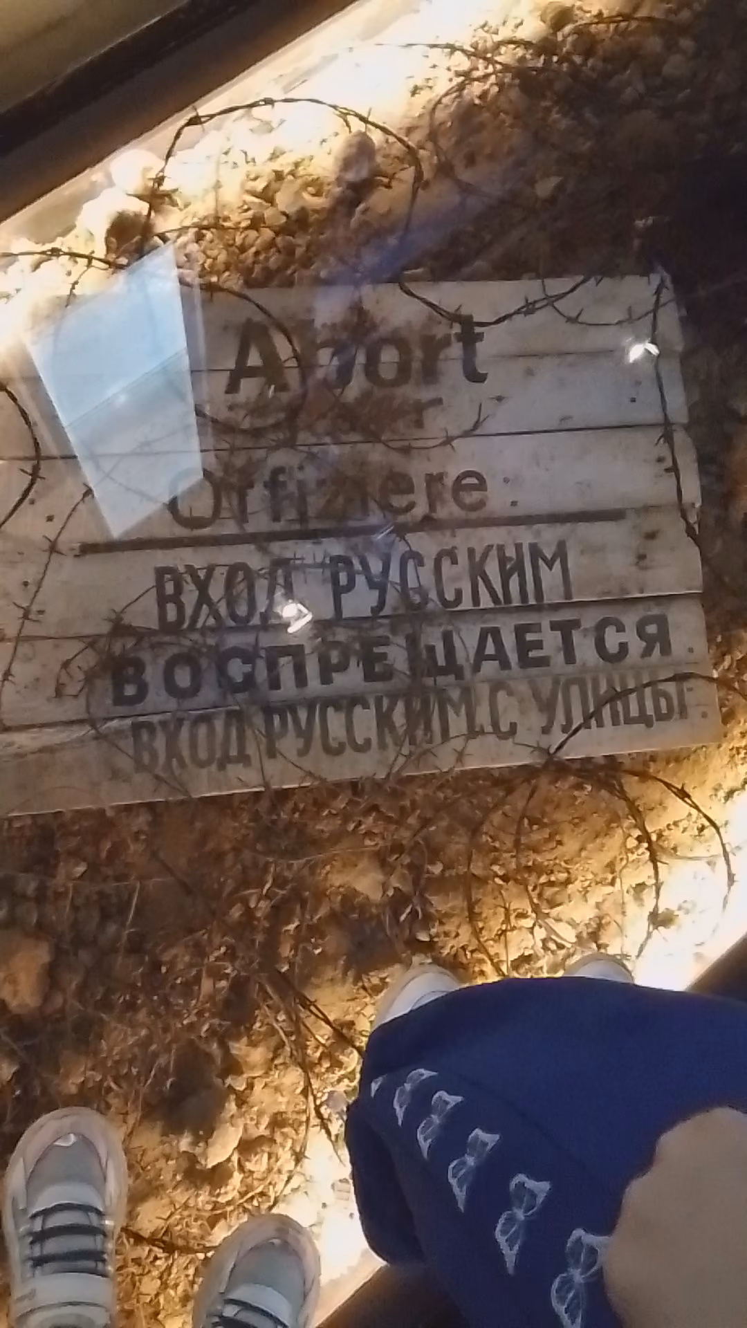 080b68407b1ac7cc77aaf965b274301c.jpg