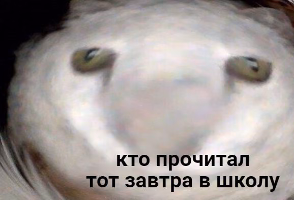 081430639980aef1a0cb3c64b4c10ca0.jpg