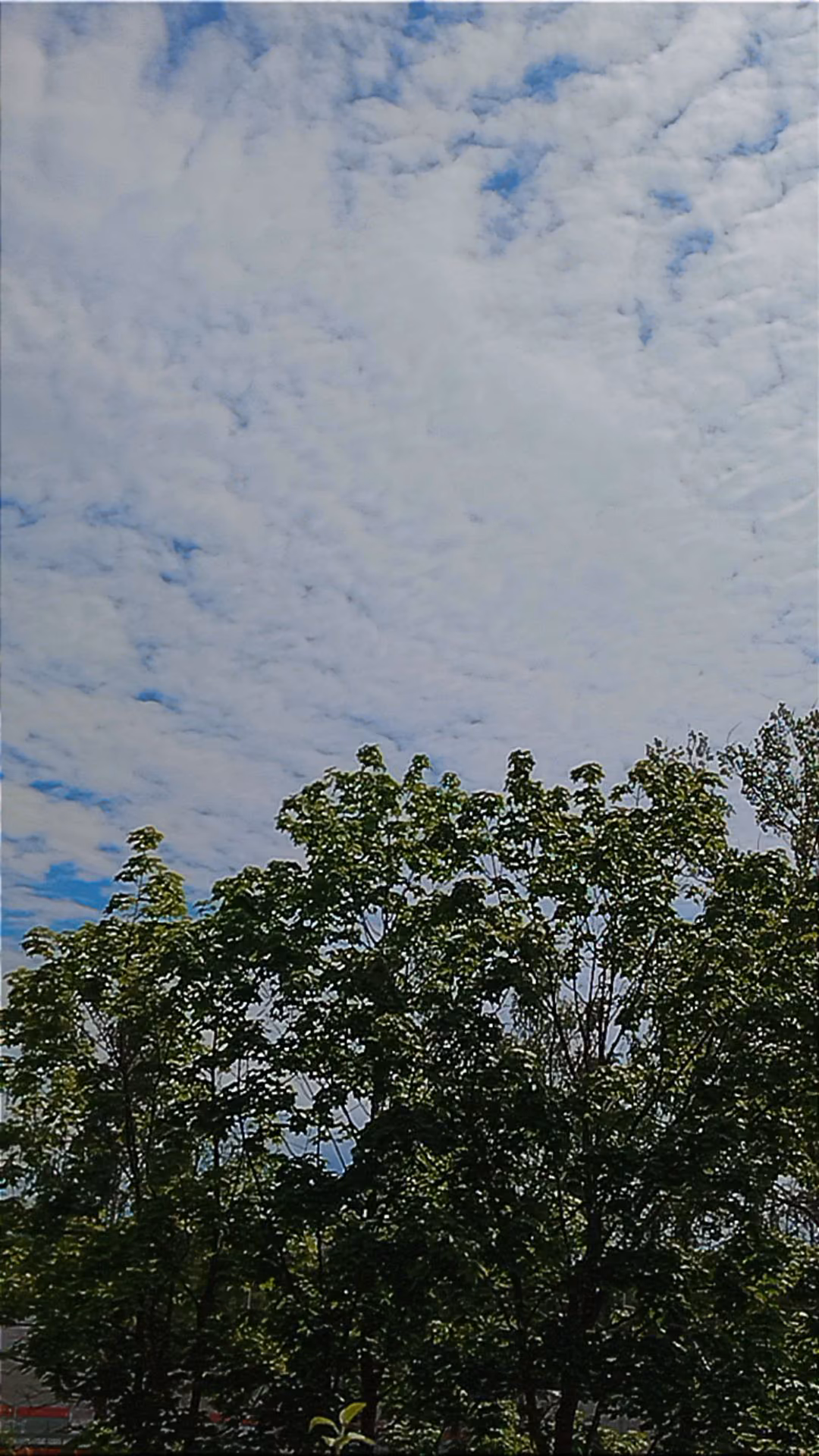 082d1e96f4660e8b4a56c6405ee5a2de.avif