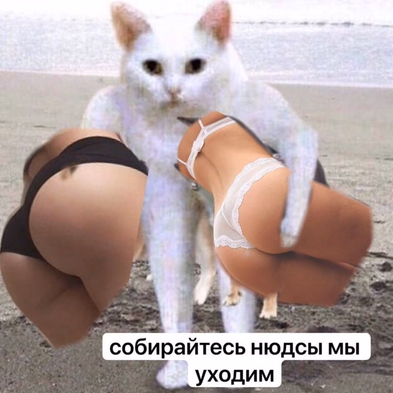 08395a6fd7a86752f5671d4318688780.avif