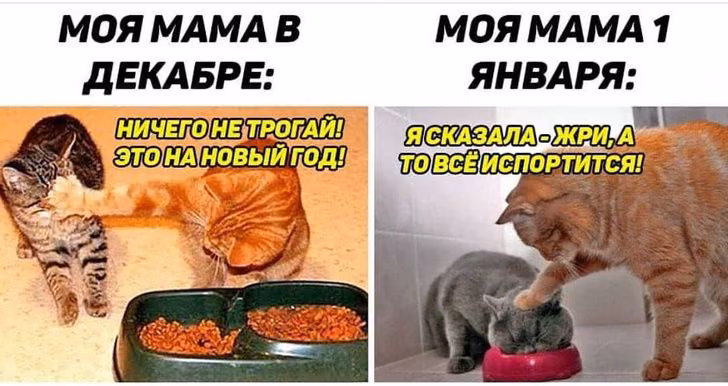 0855b0cf11f00a83a02967d105dd3a05.jpg