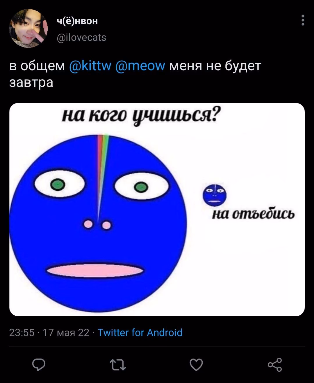 085e3636a8505d64eca1d74f85c3b302.jpg