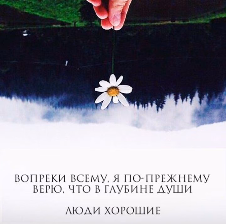 086e310ac1aad6e14df5d94080e35d49.jpg