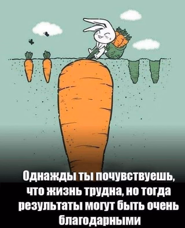 0874e07835620478577b08700ffcf75f.avif