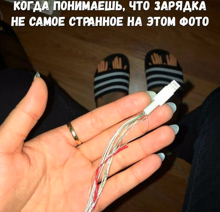 08860e9323e3ec4f272215bb51b45569.jpg