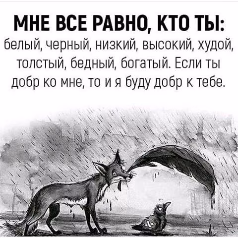 089e21323aca94e5b85a40728d78f27b.jpg