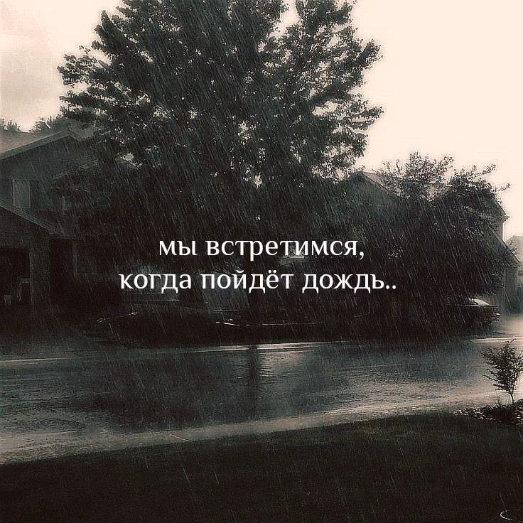 08ad2a2b566c8904648b71dbe845c06d.avif