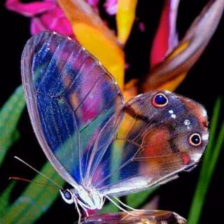 08b3972e4b2b9087d73c3790cc831bea.avif