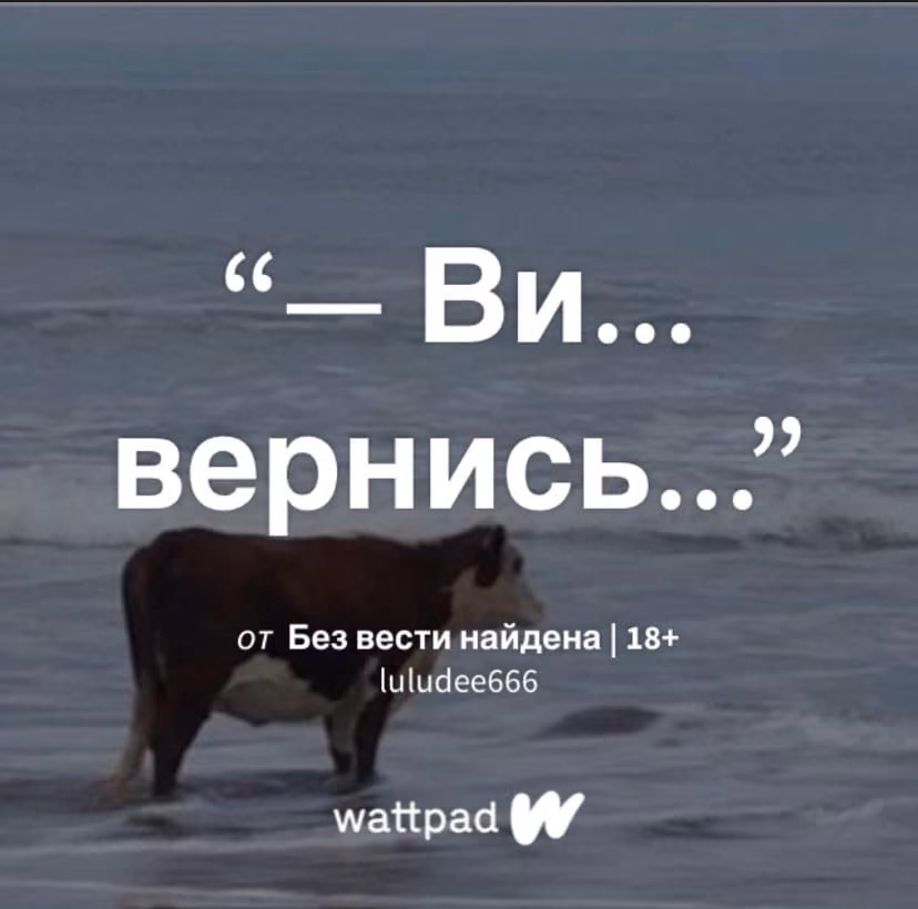 08b92b934785a65818d1a963da828eaf.avif