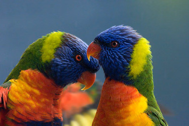 08c10dd349591e44c9e418e78a52ea44.avif