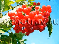 08c6c08e05580d84b8461c6ba052f109.avif