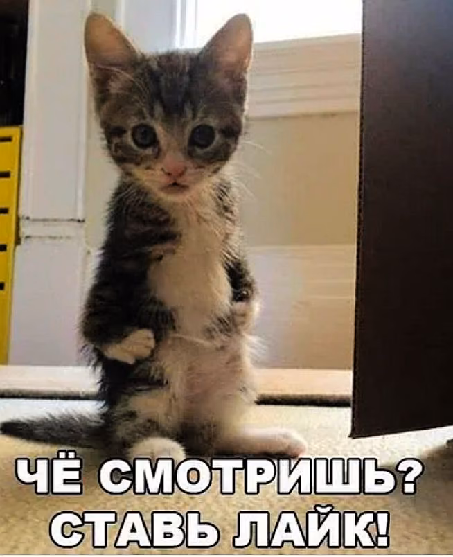 08cf7b07f64f4cd0ea189590a6f396e3.jpg