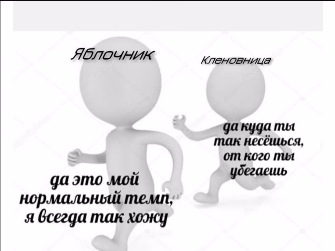 08d62b06042207a7bd89fd5a4ddca3d0.avif