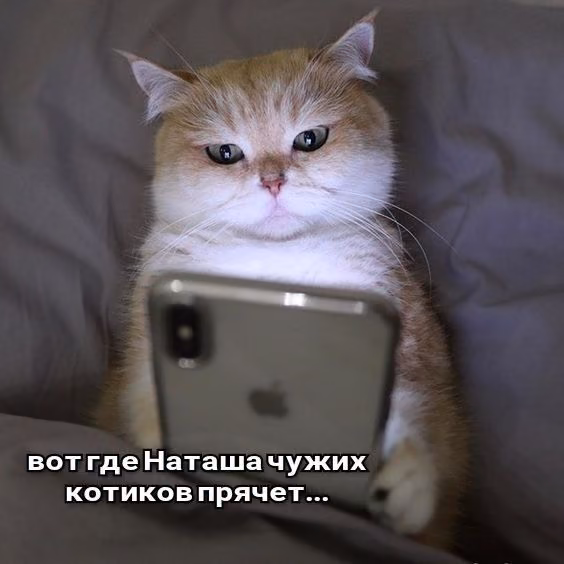08e2d247949f6c473582f0625541e108.avif
