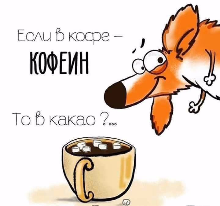08e3509819c7fa8addfdeabfacb9e4fe.jpg