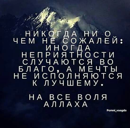08e8578306d30b85b020f977f6784cd4.jpg