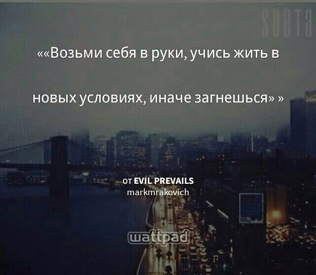 08ede64669f104f13cebfcd18b0ceda4.jpg