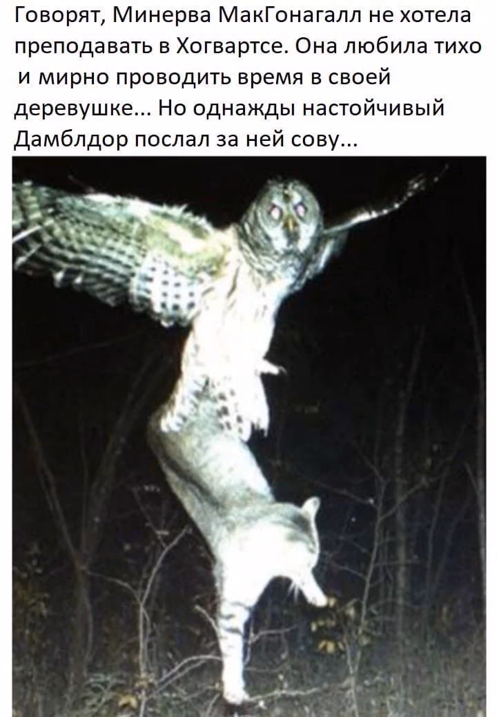 090219daa4a967505a98945b0cefc73a.avif