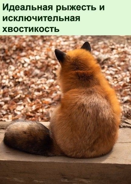 0909f3f933835aa6f3929b378380b17f.avif