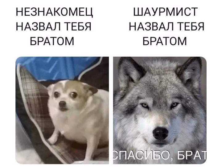 090ab220a7c63193456f2db8a97509cb.jpg