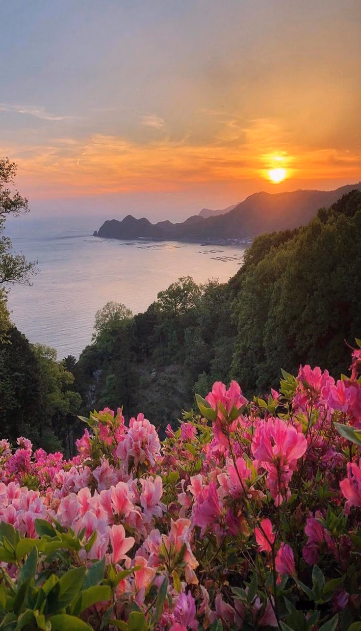 09232b0f7676e1071ddfc1eb965ba442.avif