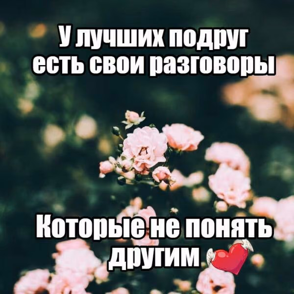 0934b31af9a4cdbfb134bdc399375e7a.avif