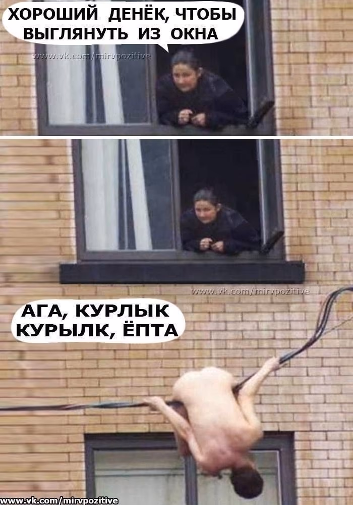09376fd94d6afad9c56fe5f479a943ee.jpg