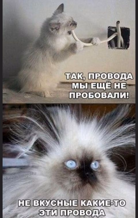 093b4dfe32b2ecc5a13e3d67f7ac47df.jpg