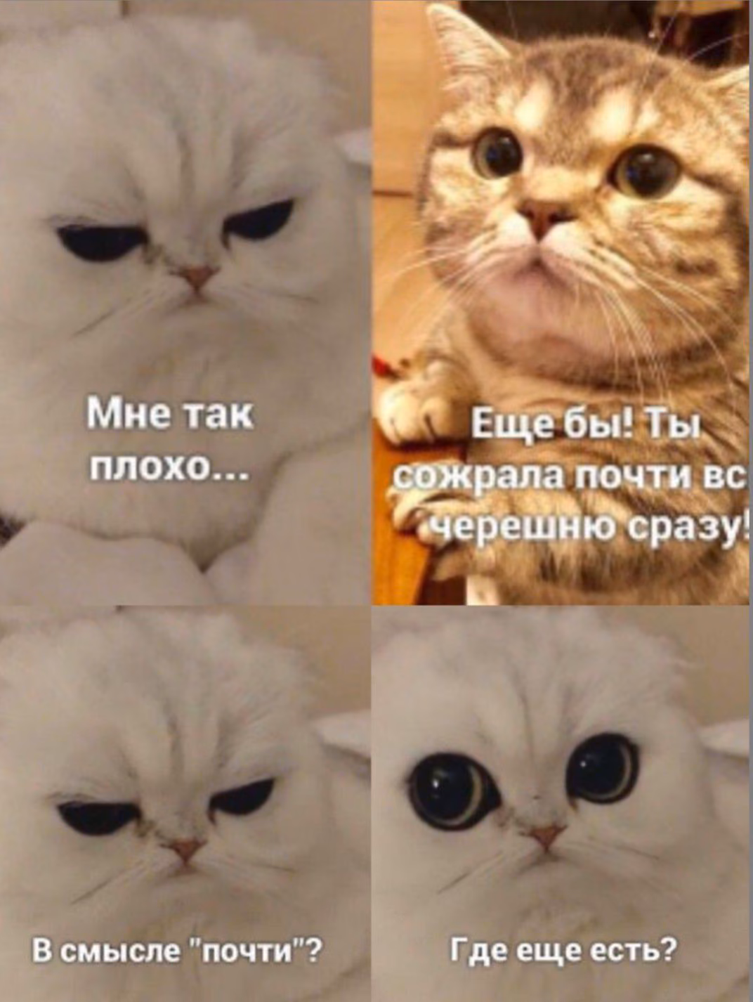 095167621d8be325c48d23c442fac91f.avif