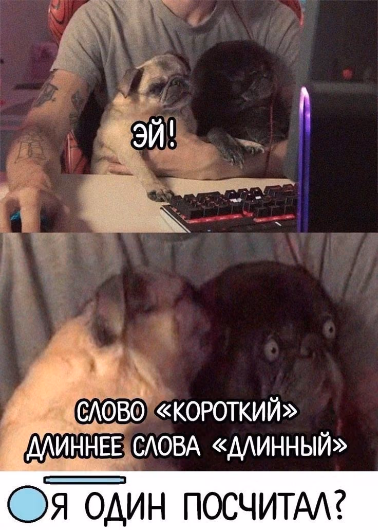 09722f03a8c43454ec27f76f330648ca.avif