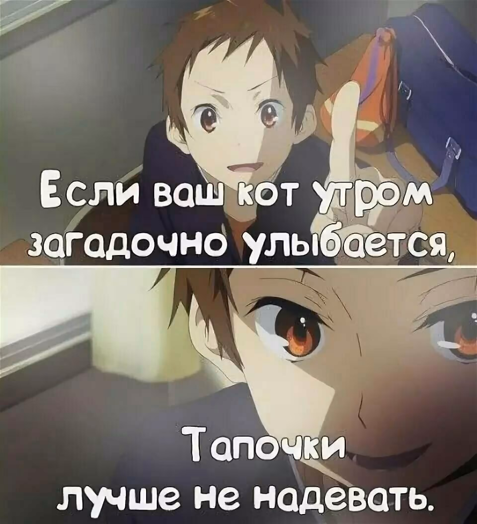09ab6d969e592a04d59e14ff453dcb26.avif