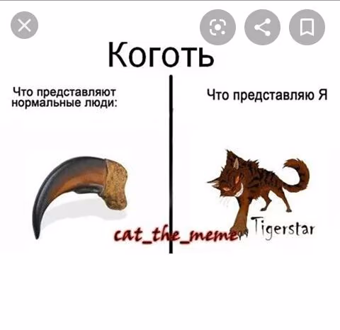 09af6dbf6c4084247ffb7f0e5570cf7a.avif