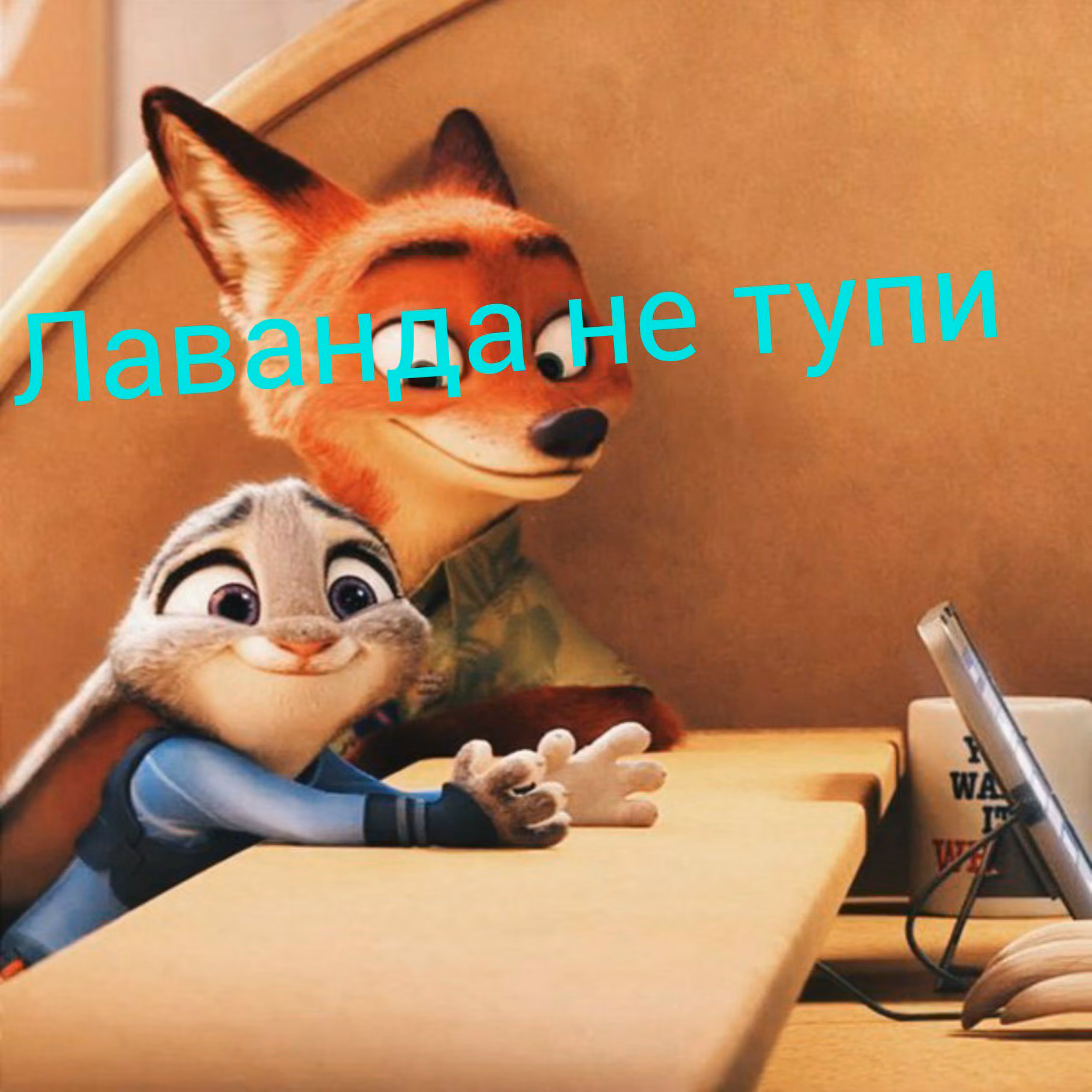 09d59fb03640bc9e0cc140e63c40c90b.jpg