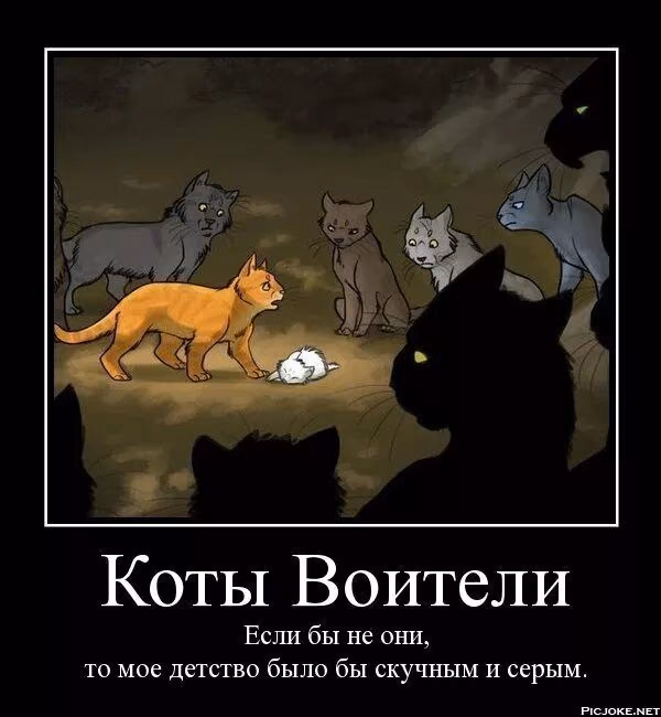 09df48eccff61c1bf1b324efd753d898.avif
