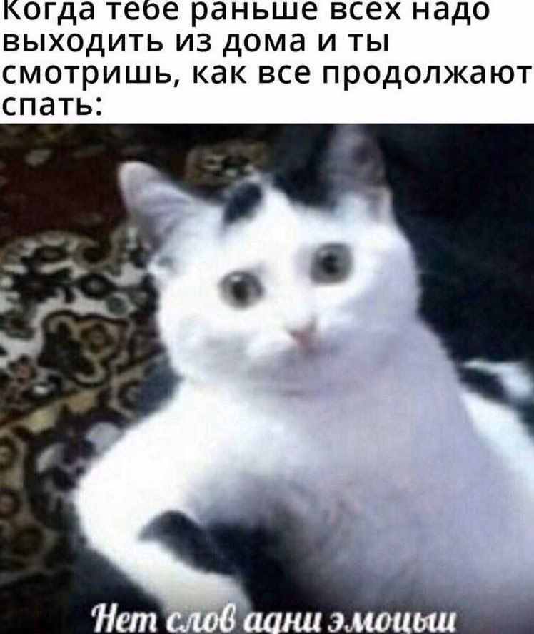 09e462f4a8b3a801af24db064469ef47.jpg