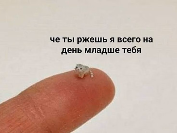 09f8fc7d055ec7a30ec55312220a2cca.jpg