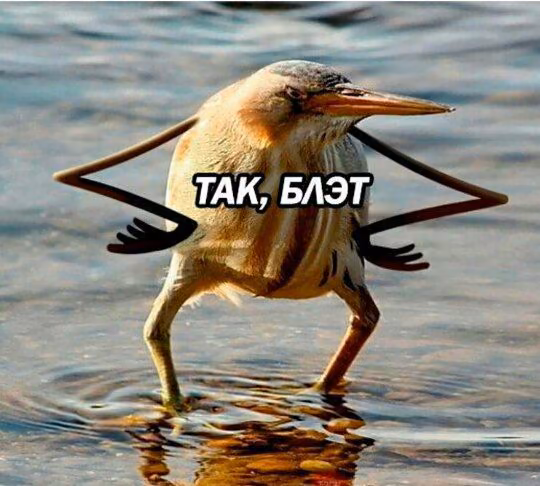 0a0203d3f85745ba4f02afe0ca44e978.avif