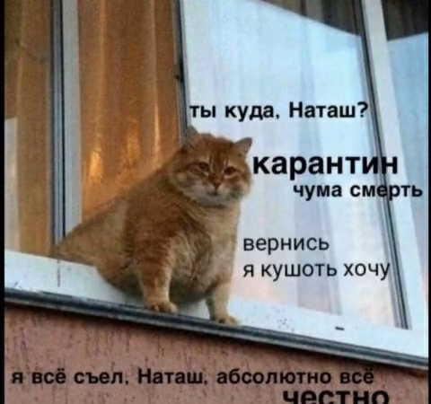 0a10ce99b9ed19ed2aa764f17a16f6e4.jpg