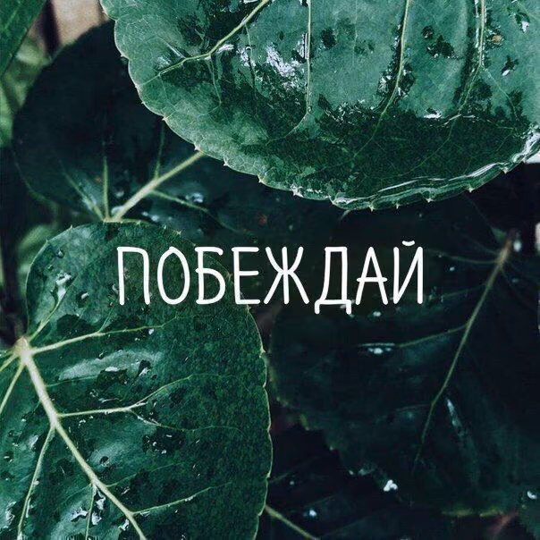0a13b6b1e39e62c393b88b49c6c75f9e.jpg