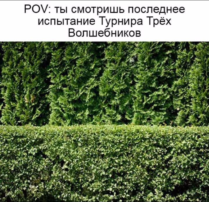 0a1b1c47211163d006c4d70845b4b0d8.avif