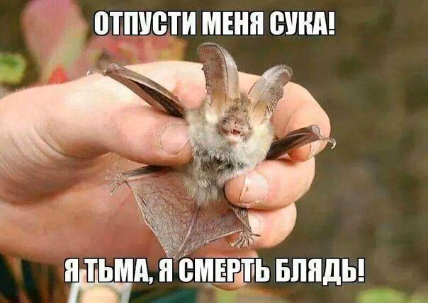0a1ba52ad29c39c0a1d2e5843ab8dd2f.jpg