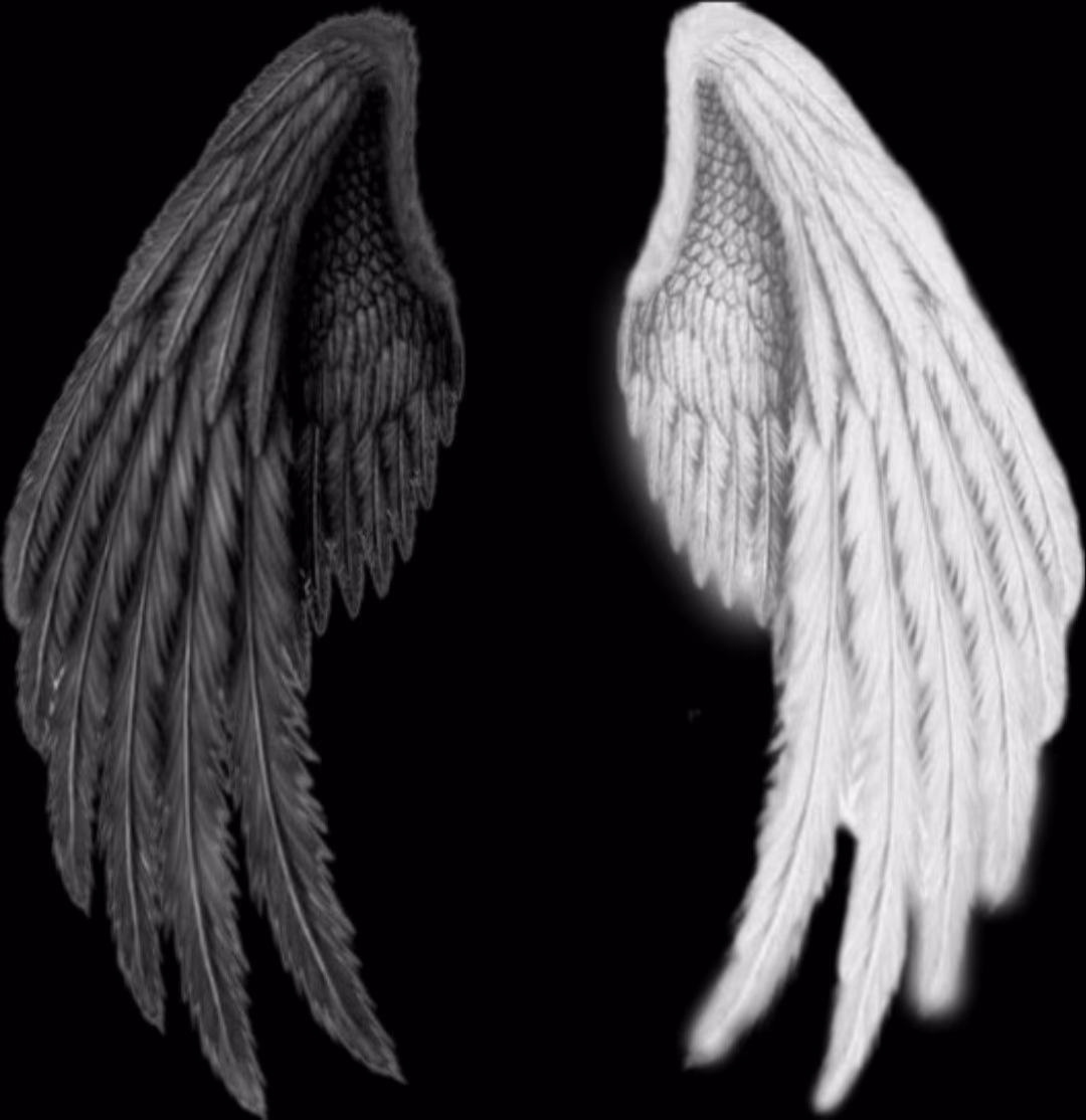 0a264fb5271cdcad42c5195eeef42d9c.avif