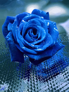 0a26f42e5f81845cc24539d329c0aeb2.avif
