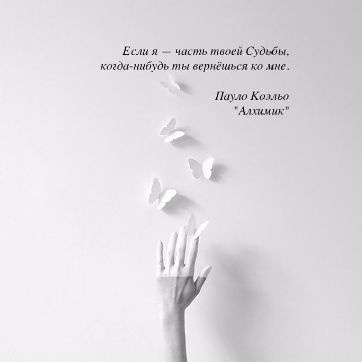 0a2c2b53ae083fe47b1a53414d214981.jpg