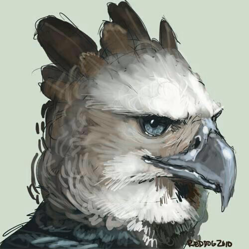 0a3ab115295108c1328861416298d80c.avif
