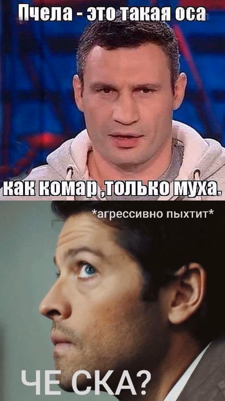 0a4a029f6afef4c05a517c88d7d5703b.avif